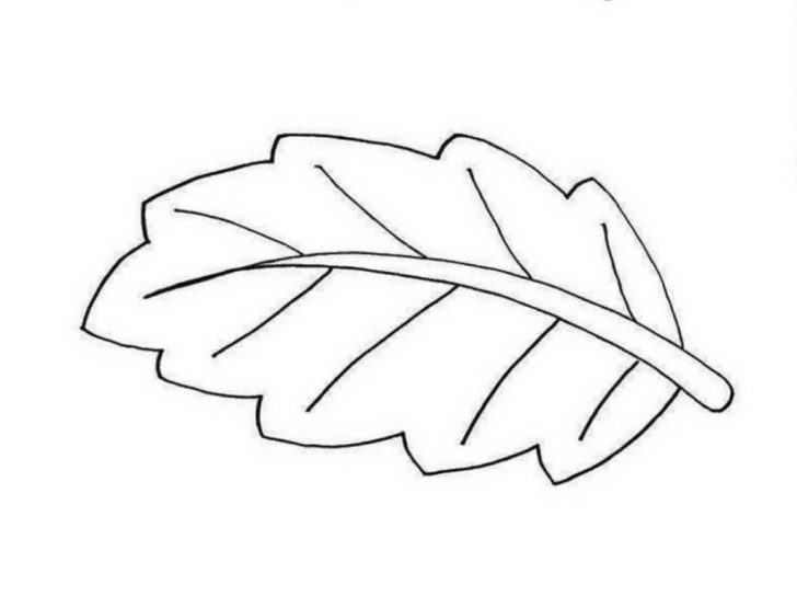 Leaf Coloring Page Leaf Coloring Pages For Preschool Colouring In Cure Leaves Tree Page Leaf Coloring Page Leaf Coloring Pages For Preschool Colouring In Cure Leaves Tree Page