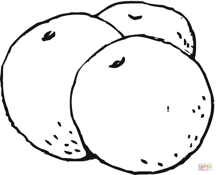 Orange Coloring Page 3 Oranges Coloring Page Free Printable Coloring Pages Orange Coloring Page 3 Oranges Coloring Page Free Printable Coloring Pages
