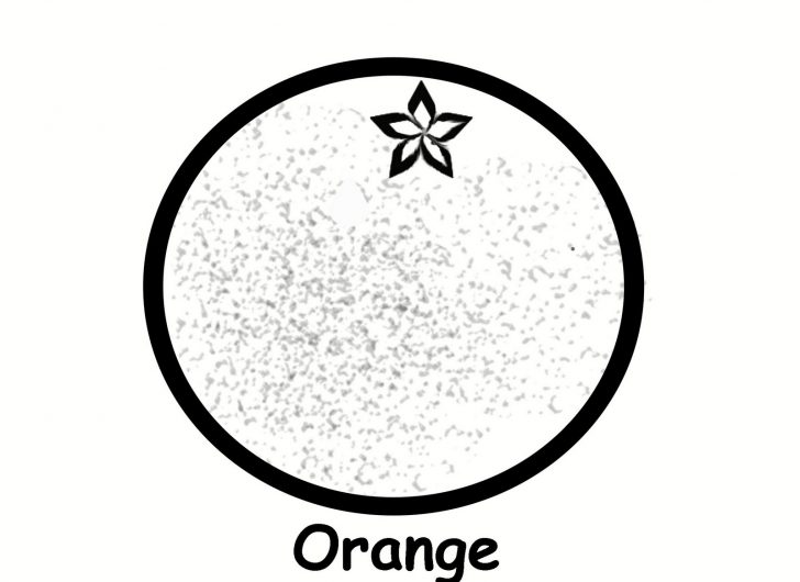 Orange Coloring Page Orange Coloring Page Disney Coloring Pages Orange Coloring Page Orange Coloring Page Disney Coloring Pages