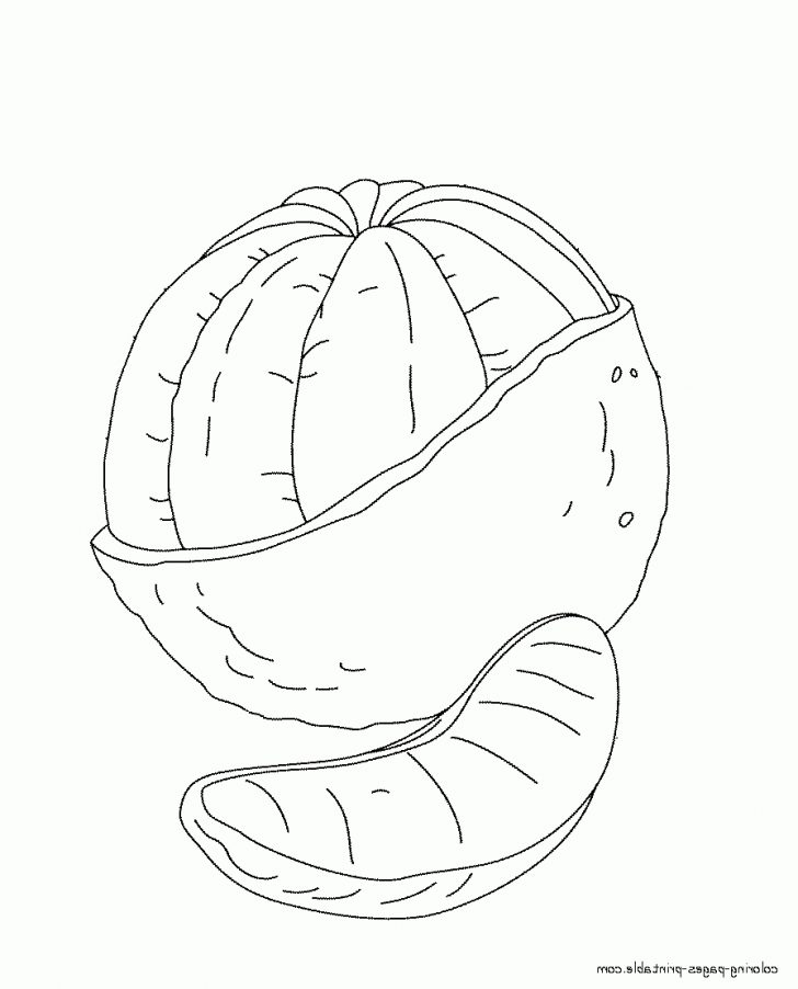 Orange Coloring Page Orange Coloring Page Jabn Orange Free Coloring Pages For Preschool Orange Coloring Page Orange Coloring Page Jabn Orange Free Coloring Pages For Preschool