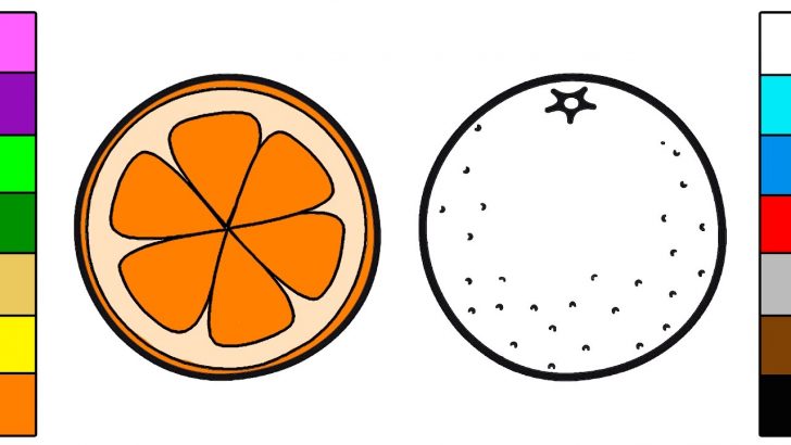 Orange Coloring Page Orange Fruit Coloring Page For Kids Youtube Orange Coloring Page Orange Fruit Coloring Page For Kids Youtube