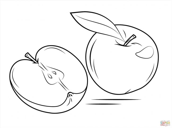 Orange Coloring Page Orange Juice Coloring Page At Getdrawings Free For Personal Orange Coloring Page Orange Juice Coloring Page At Getdrawings Free For Personal