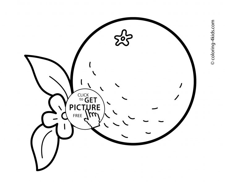 Orange Coloring Page Orange With Flower Fruits Coloring Pages For Kids Printable Free Orange Coloring Page Orange With Flower Fruits Coloring Pages For Kids Printable Free