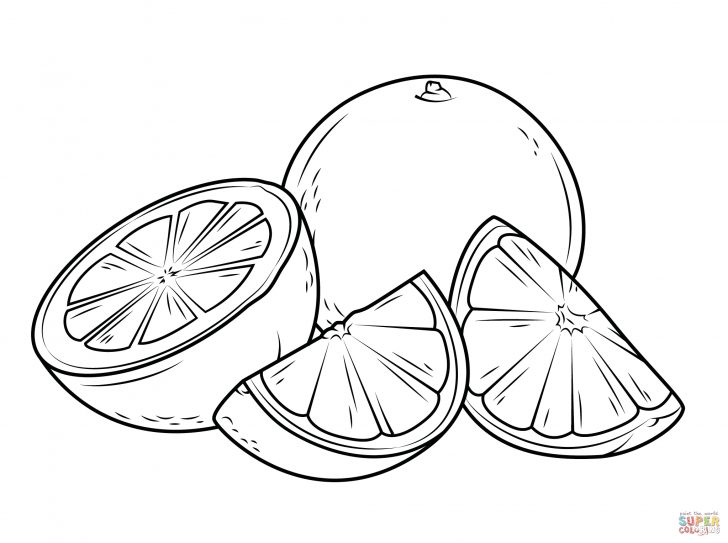 Orange Coloring Page Oranges Coloring Pages Free Coloring Pages Orange Coloring Page Oranges Coloring Pages Free Coloring Pages