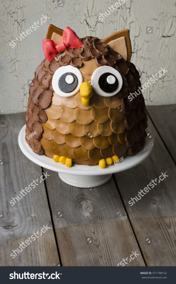 Owl Birthday Cake Chocolate Owl Kids Birthday Cake On Stock Photo Edit Now 371798152 Owl Birthday Cake Chocolate Owl Kids Birthday Cake On Stock Photo Edit Now 371798152
