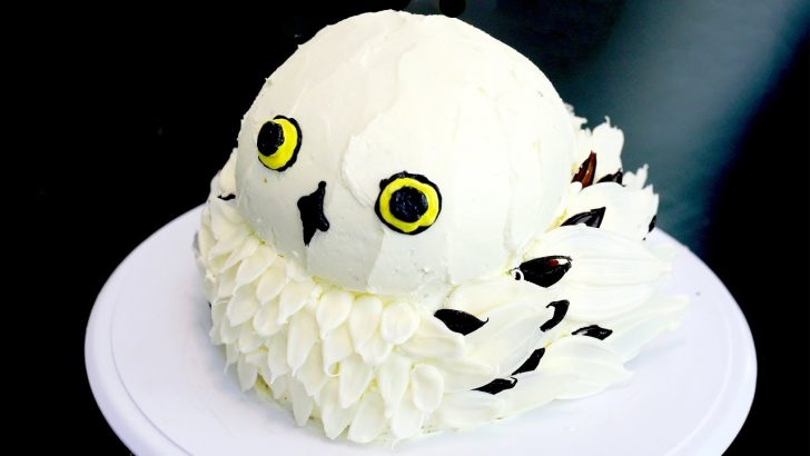 Owl Birthday Cake How To Make A Hedwig Owl Cake From Harry Potter Recipe Youtube Owl Birthday Cake How To Make A Hedwig Owl Cake From Harry Potter Recipe Youtube
