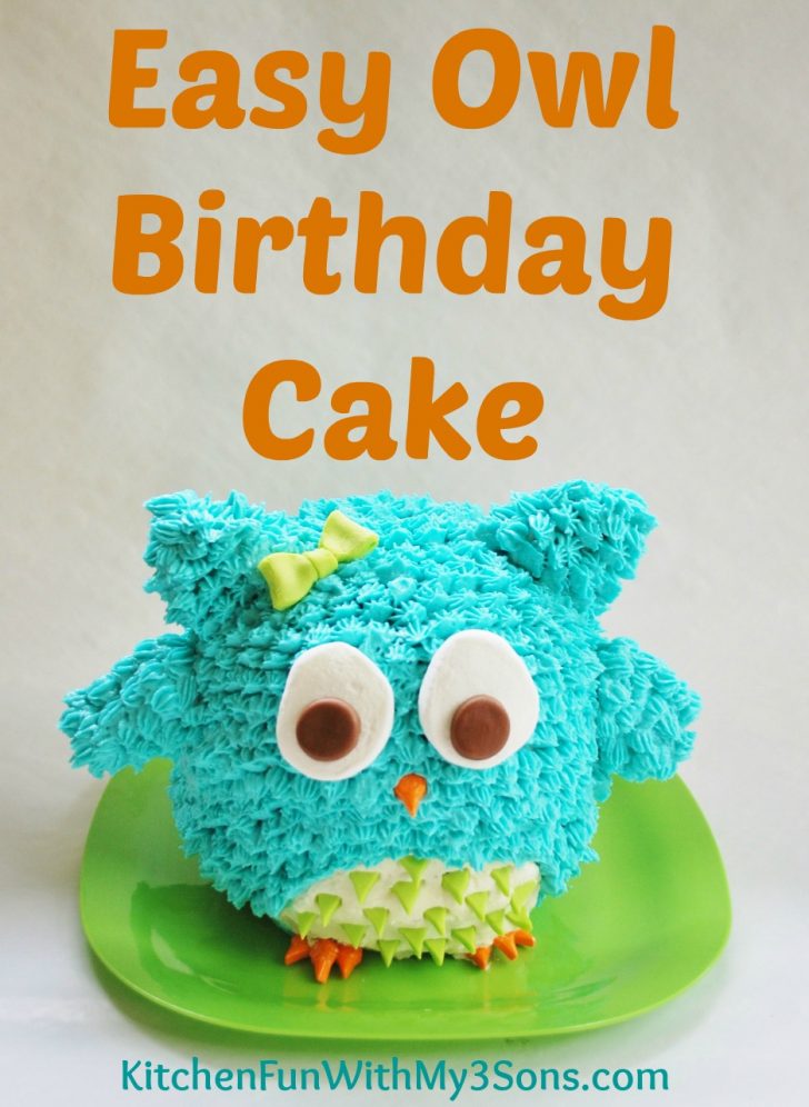 Owl Birthday Cake Owl Birthday Cake Or Smash Cake So Easy Owl Birthday Cake Owl Birthday Cake Or Smash Cake So Easy
