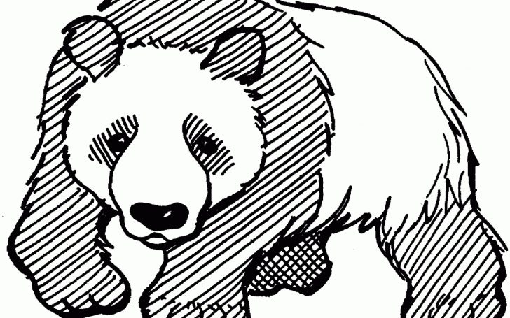 Panda Bear Coloring Pages Giant Panda Coloring Pages Page Pictures Frightening Free Bear And Panda Bear Coloring Pages Giant Panda Coloring Pages Page Pictures Frightening Free Bear And