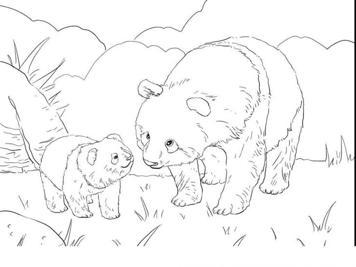Panda Bear Coloring Pages Panda Bear Coloring Pages Now Magnificent Super Coloring Page Panda Bear Coloring Pages Panda Bear Coloring Pages Now Magnificent Super Coloring Page