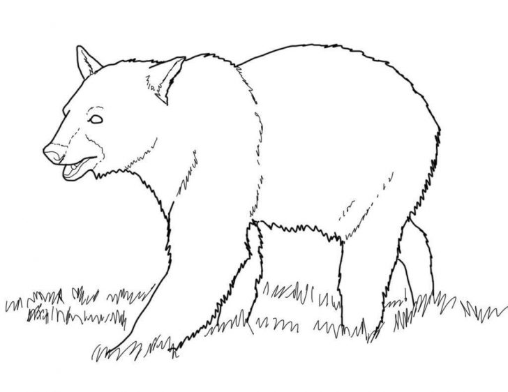 Panda Bear Coloring Pages Panda Bear Coloring Pages What Do Super Coloring Page Panda Bear Coloring Pages Panda Bear Coloring Pages What Do Super Coloring Page