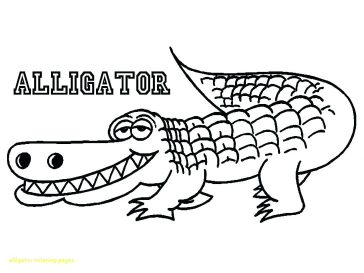 Panda Bear Coloring Pages Panda Bear Coloring Pages Wpvote Panda Bear Coloring Pages Panda Bear Coloring Pages Wpvote