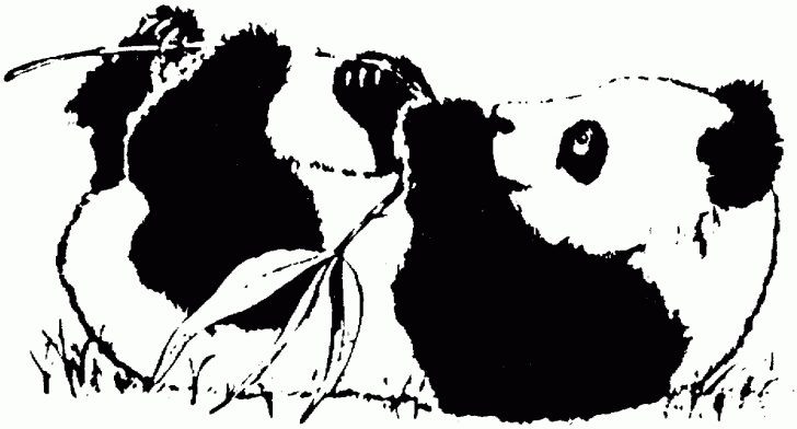 Panda Bear Coloring Pages Panda Bear Coloring Sheet Themewsbeautyclinic Panda Bear Coloring Pages Panda Bear Coloring Sheet Themewsbeautyclinic