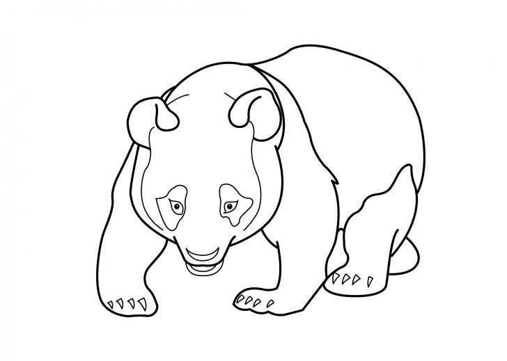 Panda Bear Coloring Pages Panda Coloring Pages Best Coloring Pages For Kids Panda Bear Coloring Pages Panda Coloring Pages Best Coloring Pages For Kids