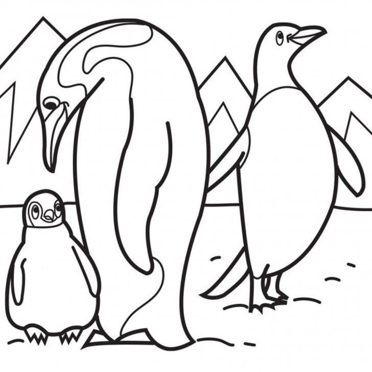 Penguin Coloring Page Ba Penguin Coloring Pages Free Download Best Inside Within Page Penguin Coloring Page Ba Penguin Coloring Pages Free Download Best Inside Within Page