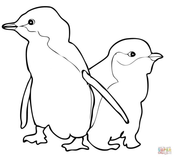 Penguin Coloring Page Coloring Pages 48 Fabulous Pittsburgh Penguins Coloring Pages Penguin Coloring Page Coloring Pages 48 Fabulous Pittsburgh Penguins Coloring Pages