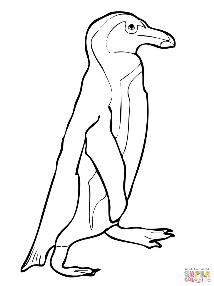Penguin Coloring Page Coloring Pages Coloring Pages Penguin Sheets For Kids To Print Penguin Coloring Page Coloring Pages Coloring Pages Penguin Sheets For Kids To Print