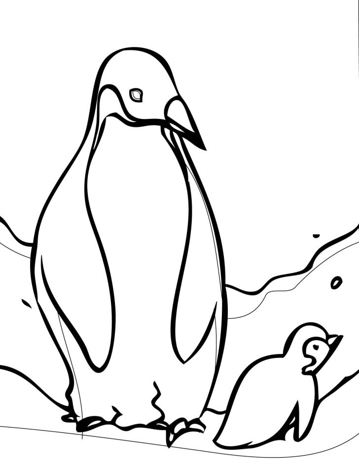 Penguin Coloring Page Free Cartoon Penguin Coloring Pages Download Free Clip Art Free Penguin Coloring Page Free Cartoon Penguin Coloring Pages Download Free Clip Art Free