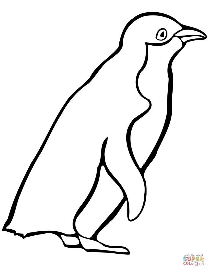 Penguin Coloring Page Little Blue Penguin Coloring Page Free Printable Coloring Pages Penguin Coloring Page Little Blue Penguin Coloring Page Free Printable Coloring Pages