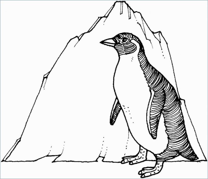 Penguin Coloring Page Printable Penguin Coloring Pages Beautiful 51 Lovely Pics Penguin Penguin Coloring Page Printable Penguin Coloring Pages Beautiful 51 Lovely Pics Penguin