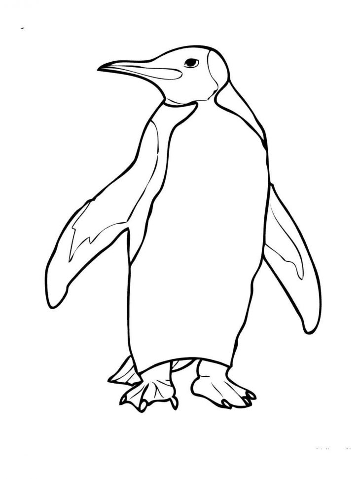 Penguin Coloring Page Tacky The Penguin Coloring Pages Beautiful Design Get Coloring Page Penguin Coloring Page Tacky The Penguin Coloring Pages Beautiful Design Get Coloring Page
