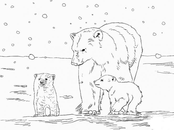 Polar Bear Coloring Pages Ba Polar Bear Coloring Sheet Luxury Polar Express Coloring Pages Polar Bear Coloring Pages Ba Polar Bear Coloring Sheet Luxury Polar Express Coloring Pages
