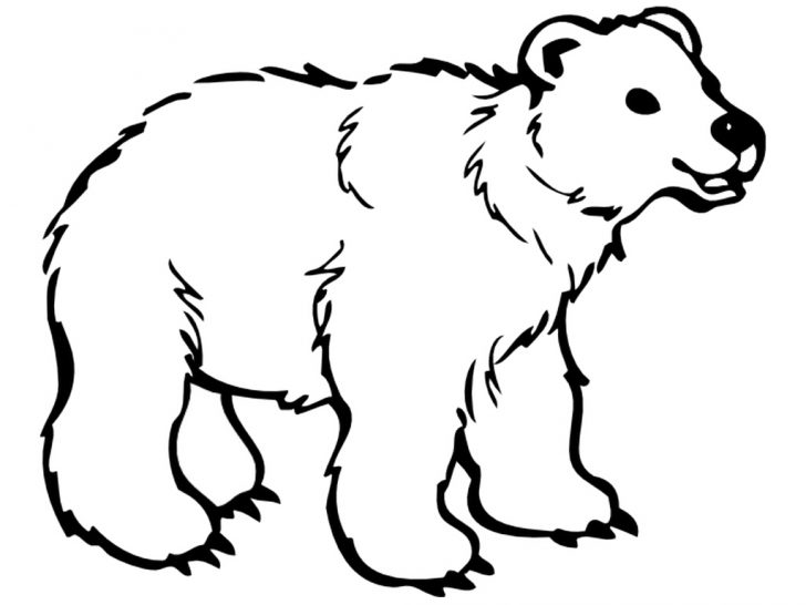 Polar Bear Coloring Pages Cute Polar Bear Coloring Pages Classic Style Printable Polar Polar Bear Coloring Pages Cute Polar Bear Coloring Pages Classic Style Printable Polar