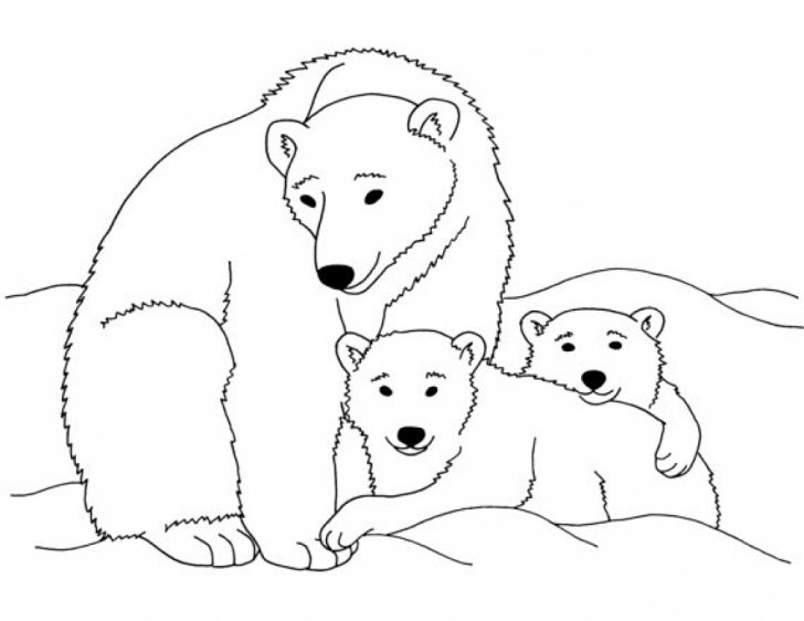 Polar Bear Coloring Pages Family Polar Bear Coloring Pages For Kids Coloringsuite Polar Bear Coloring Pages Family Polar Bear Coloring Pages For Kids Coloringsuite