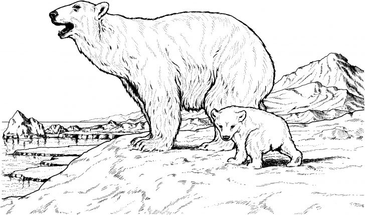 Polar Bear Coloring Pages Free Printable Polar Bear Coloring Pages For Kids Polar Bear Coloring Pages Free Printable Polar Bear Coloring Pages For Kids
