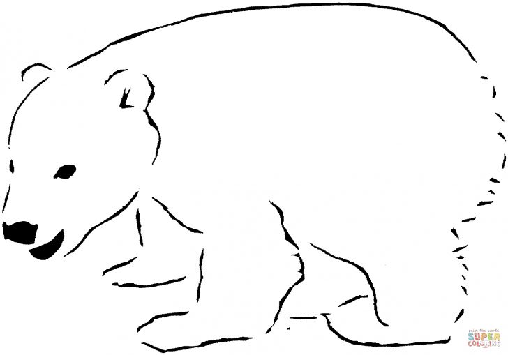 Polar Bear Coloring Pages Polar Bear 12 Coloring Page Free Printable Coloring Pages Polar Bear Coloring Pages Polar Bear 12 Coloring Page Free Printable Coloring Pages