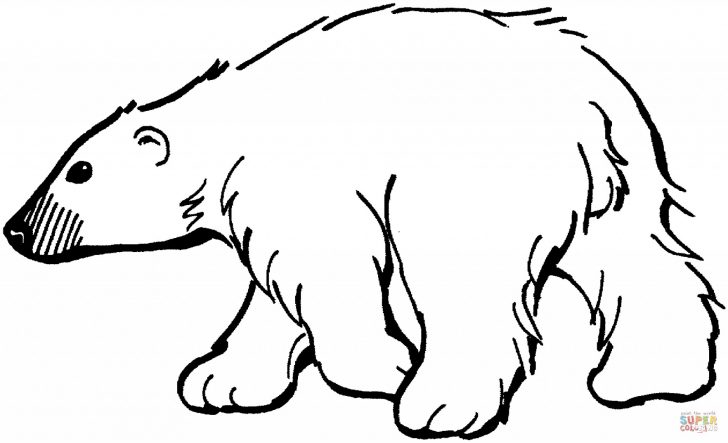 Polar Bear Coloring Pages Polar Bear Coloring Pages Desudesu Polar Bear Coloring Pages Polar Bear Coloring Pages Desudesu