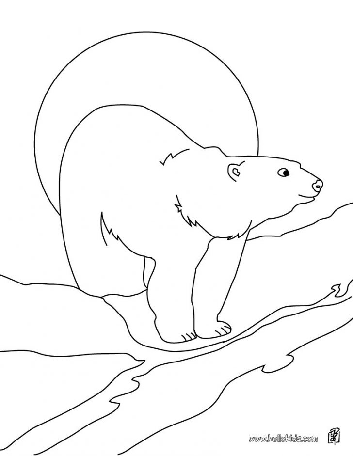Polar Bear Coloring Pages Polar Bear Printable Coloring Pages Hellokids Polar Bear Coloring Pages Polar Bear Printable Coloring Pages Hellokids