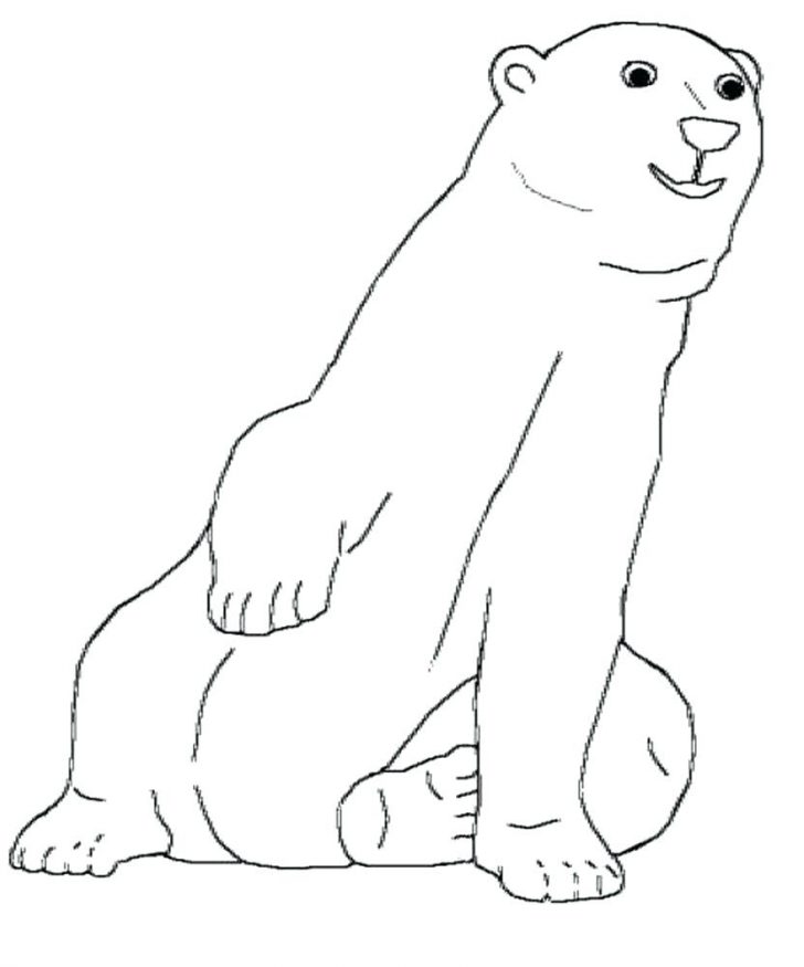 Polar Bear Coloring Pages Printable Coloring Polar Bear Coloring Page Free Coloring Book Polar Bear Coloring Pages Printable Coloring Polar Bear Coloring Page Free Coloring Book
