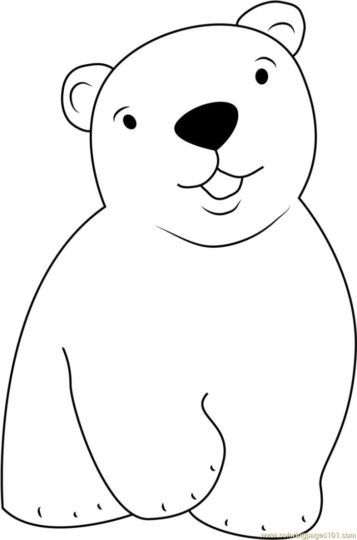 Polar Bear Coloring Pages Ultimate Polar Bears Color Cute Little Bear Coloring Page Free The Polar Bear Coloring Pages Ultimate Polar Bears Color Cute Little Bear Coloring Page Free The