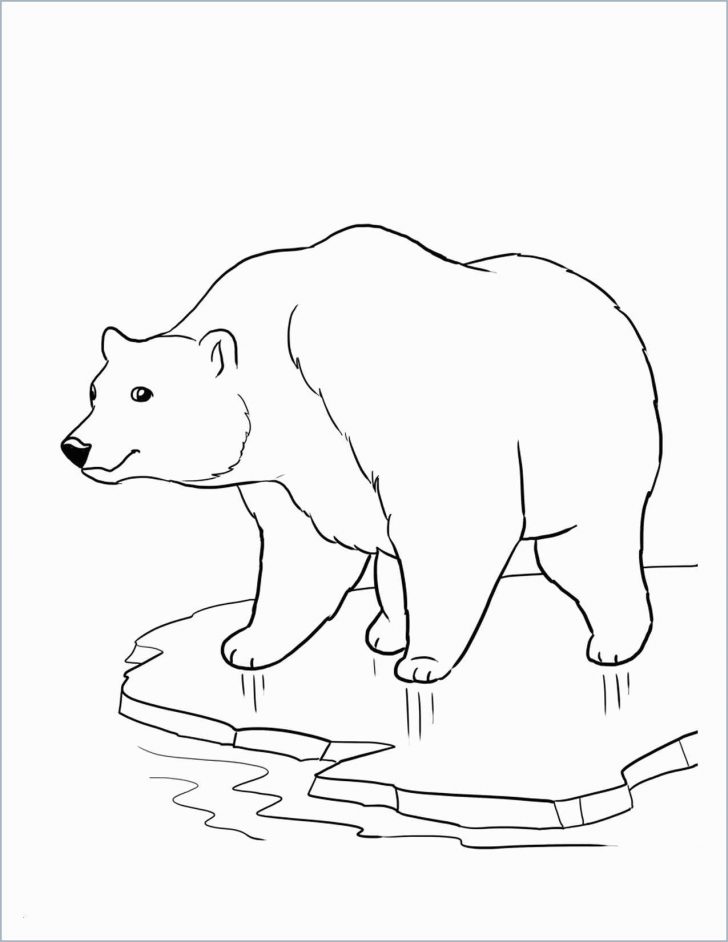 Polar Express Coloring Pages Polar Express Coloring Pages Best Of Coloring Page Tourmandu Coloring Polar Express Coloring Pages Polar Express Coloring Pages Best Of Coloring Page Tourmandu Coloring