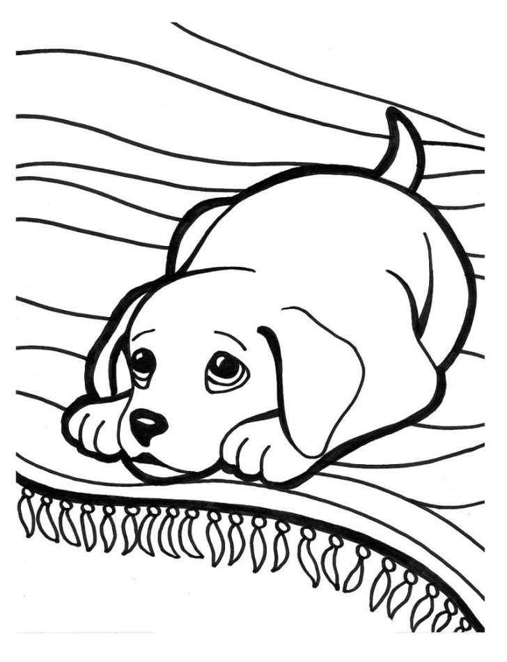 Puppy Dog Coloring Pages 35 Awesome Puppy Coloring Pages Logo And Coloring Page Pinterest Puppy Dog Coloring Pages 35 Awesome Puppy Coloring Pages Logo And Coloring Page Pinterest
