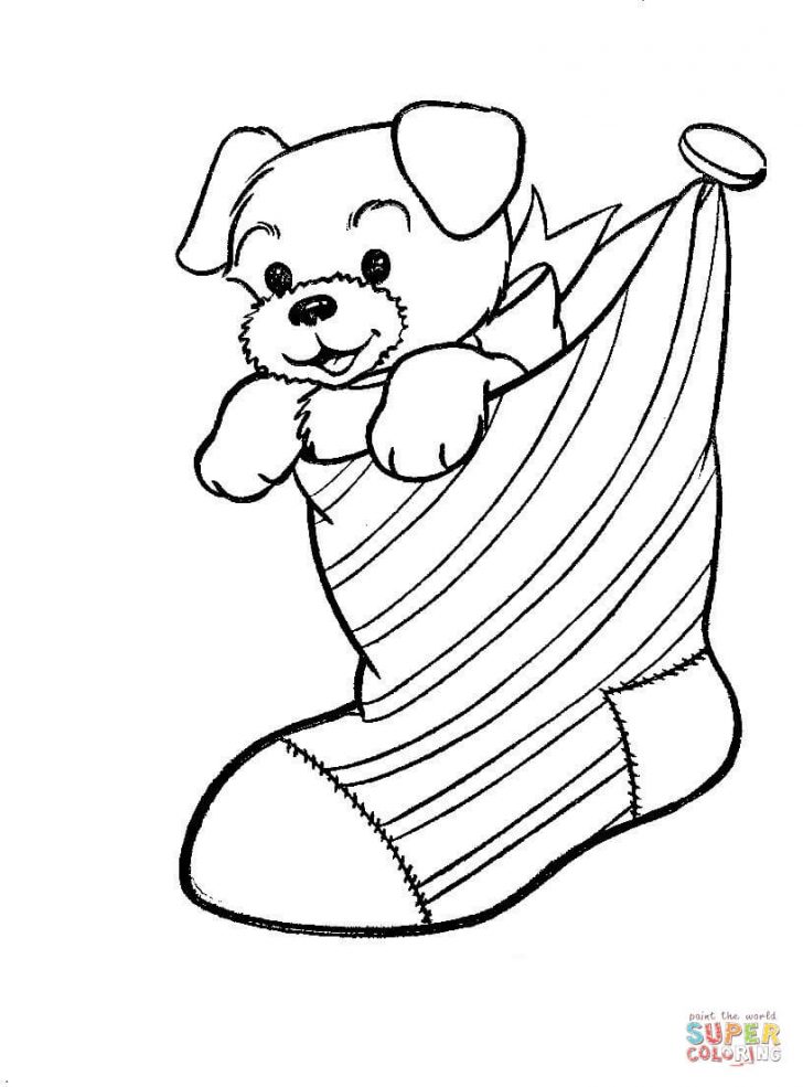 Puppy Dog Coloring Pages A Puppy Dog In A Christmas Stocking Coloring Page Free Printable Puppy Dog Coloring Pages A Puppy Dog In A Christmas Stocking Coloring Page Free Printable