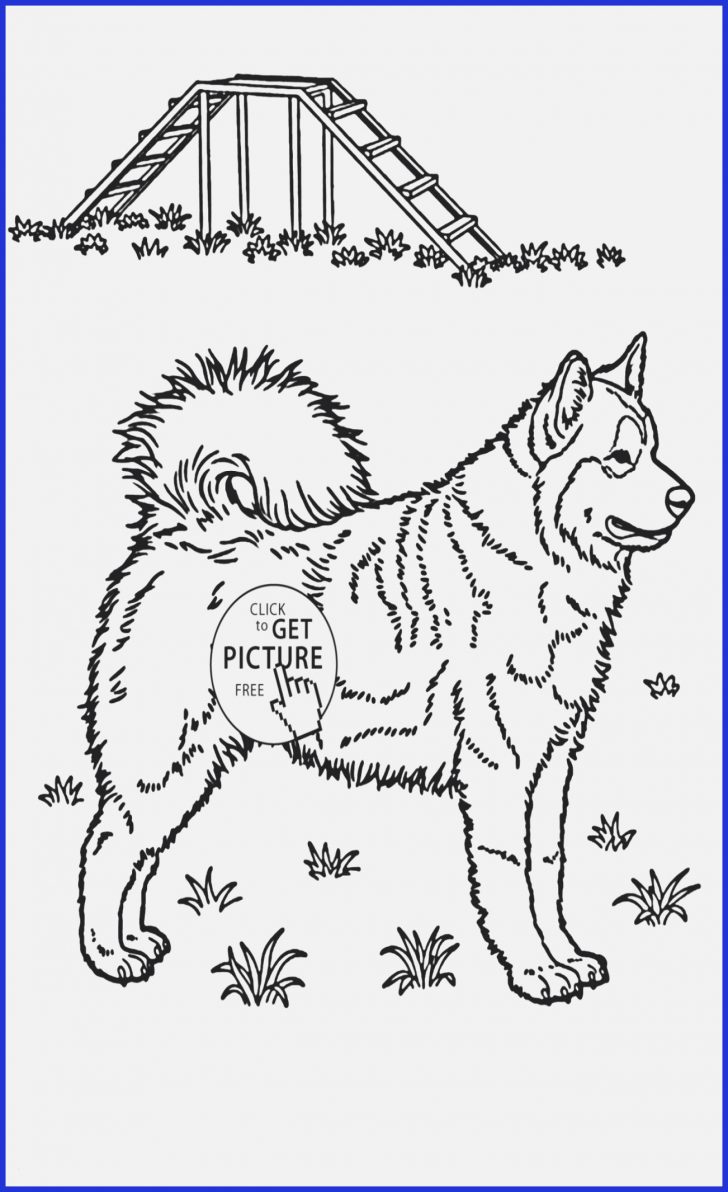 Puppy Dog Coloring Pages Arts Puppy Coloring Pages Smart Husky Puppies Coloring Pages Puppy Dog Coloring Pages Arts Puppy Coloring Pages Smart Husky Puppies Coloring Pages