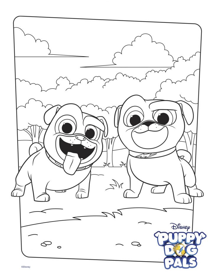 Puppy Dog Coloring Pages Bingo And Rolly Coloring Page Activity Disney Family Puppy Dog Coloring Pages Bingo And Rolly Coloring Page Activity Disney Family