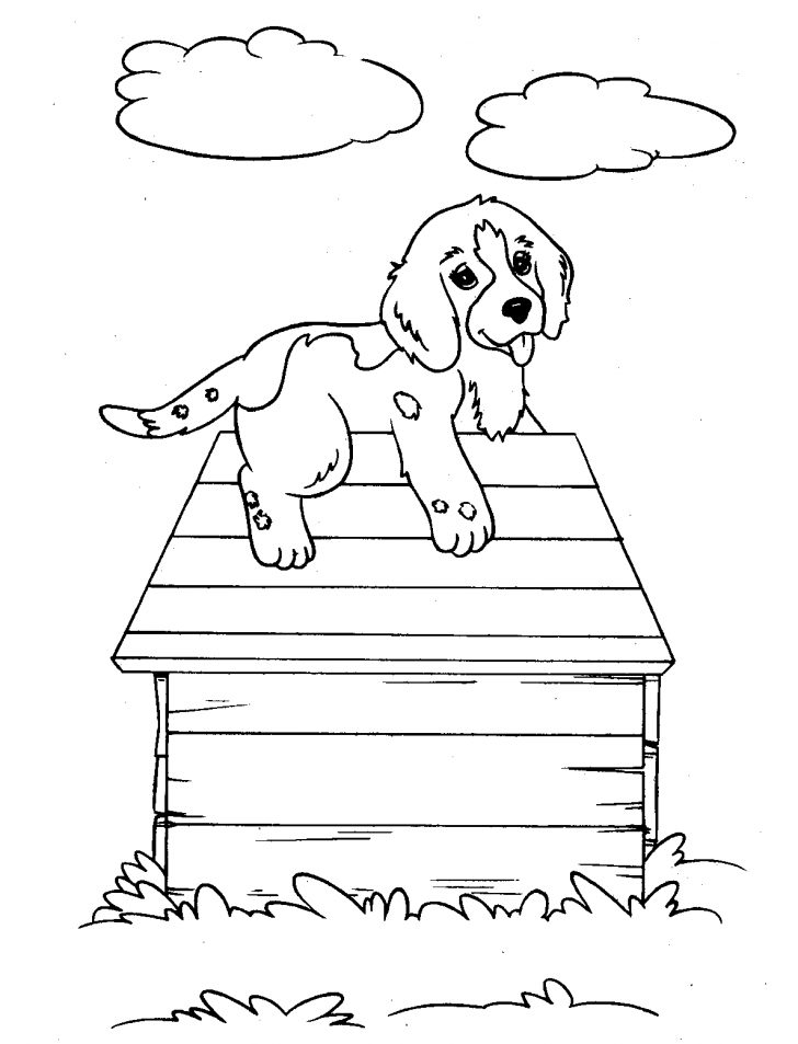 Puppy Dog Coloring Pages Free Printable Dog Coloring Pages For Kids Puppy Dog Coloring Pages Free Printable Dog Coloring Pages For Kids