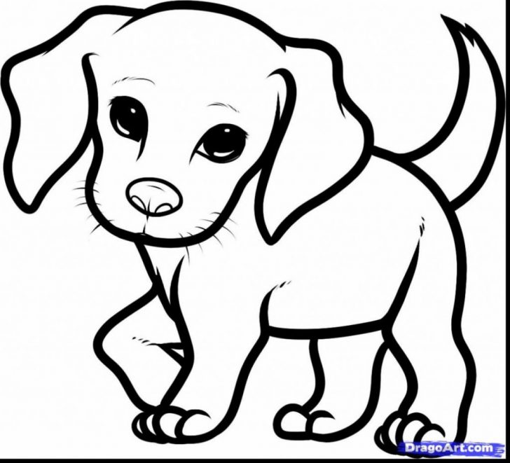 Puppy Dog Coloring Pages Puppy Dog Coloring Pages Pals Fattkay 1024930 Attachment Puppy Dog Coloring Pages Puppy Dog Coloring Pages Pals Fattkay 1024930 Attachment