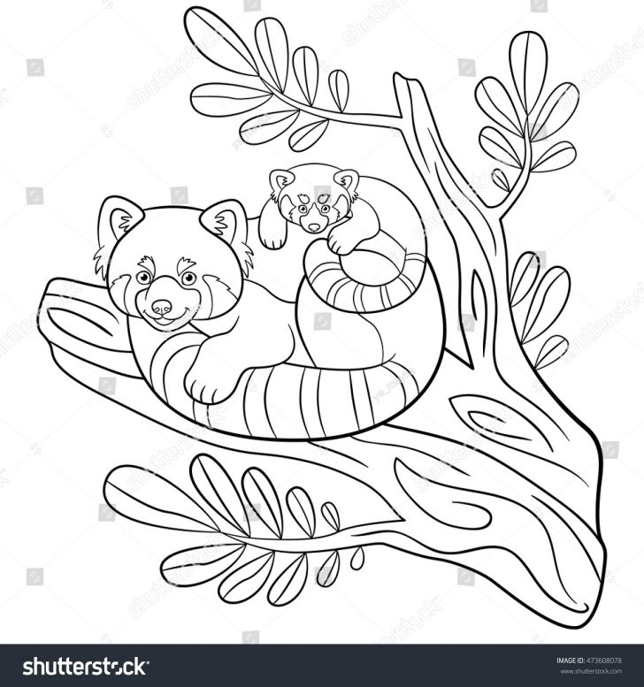 Red Panda Coloring Page Best Solutions Of Coloring Pages Mother Red Panda Sits Stock Vector Red Panda Coloring Page Best Solutions Of Coloring Pages Mother Red Panda Sits Stock Vector