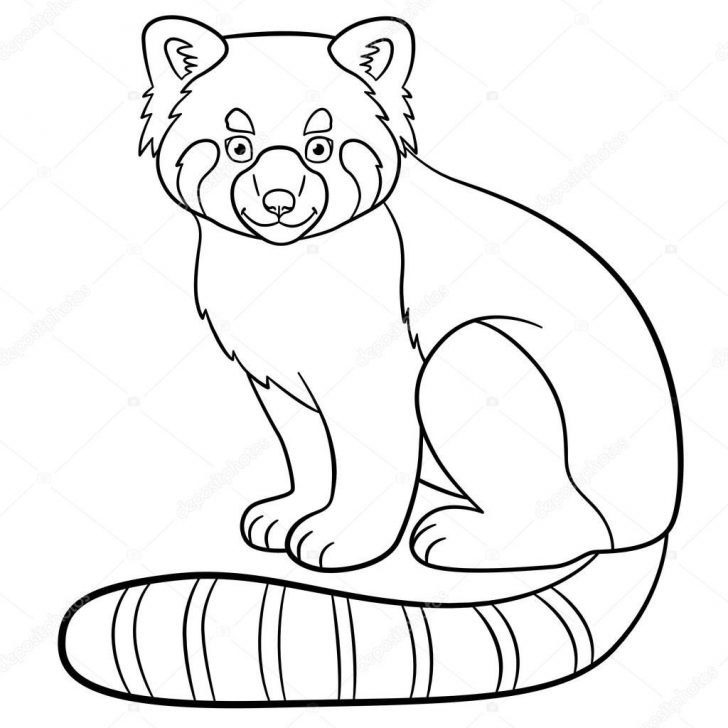 Red Panda Coloring Page Coloring Pages Little Cute Red Panda Smiles Stock Vector Ya Red Panda Coloring Page Coloring Pages Little Cute Red Panda Smiles Stock Vector Ya
