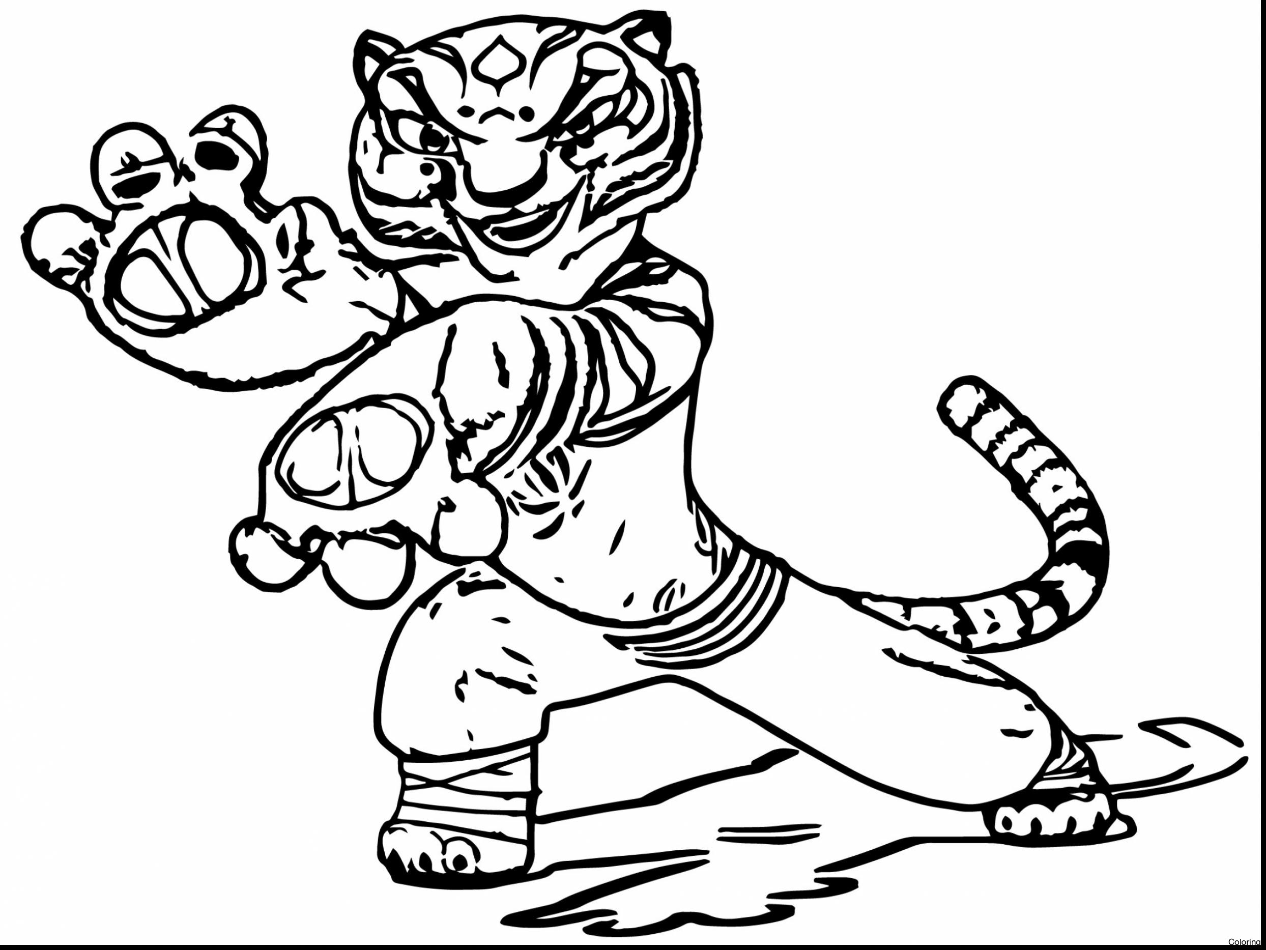 Exclusive Picture of Red Panda Coloring Page - entitlementtrap.com