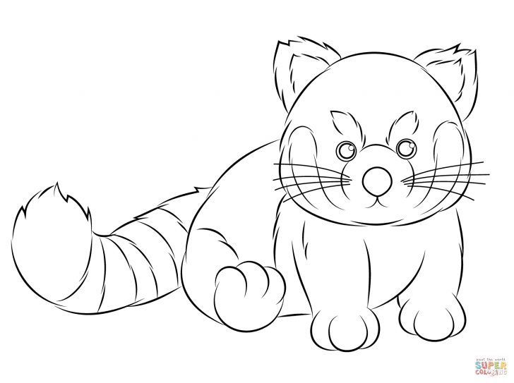 Red Panda Coloring Page Webkinz Red Panda Coloring Page Free Printable Coloring Pages Red Panda Coloring Page Webkinz Red Panda Coloring Page Free Printable Coloring Pages