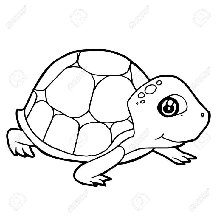 Turtle Coloring Pages Coloring Page Incredible Turtle Coloring Pages Turtle Coloring Pages Coloring Page Incredible Turtle Coloring Pages