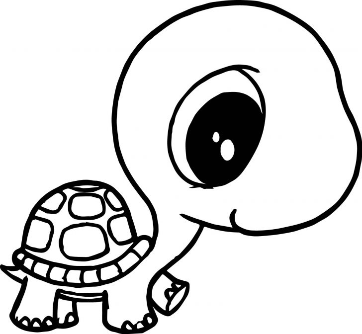 Turtle Coloring Pages Coloring Page Incredible Turtle Coloring Pages Turtle Coloring Pages Coloring Page Incredible Turtle Coloring Pages