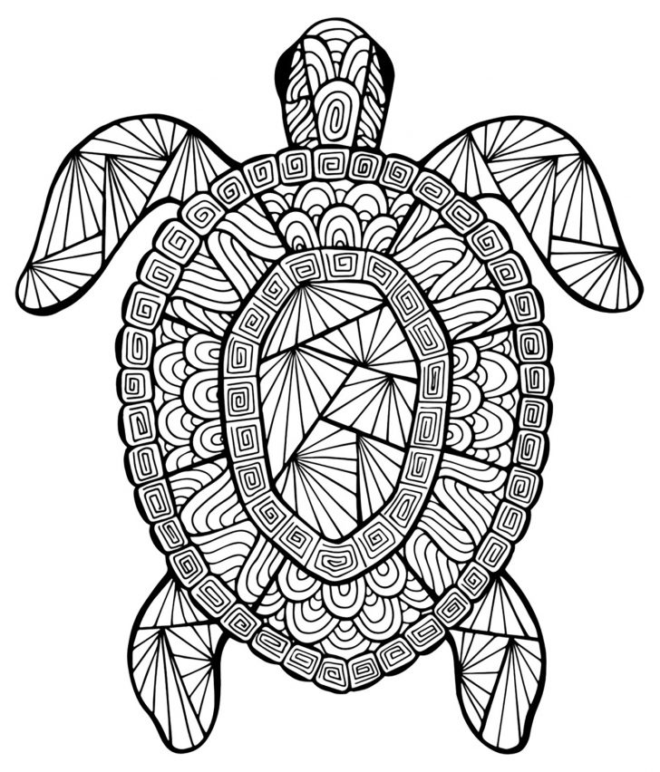 Turtle Coloring Pages Incredible Turtle Turtles Adult Coloring Pages Turtle Coloring Pages Incredible Turtle Turtles Adult Coloring Pages