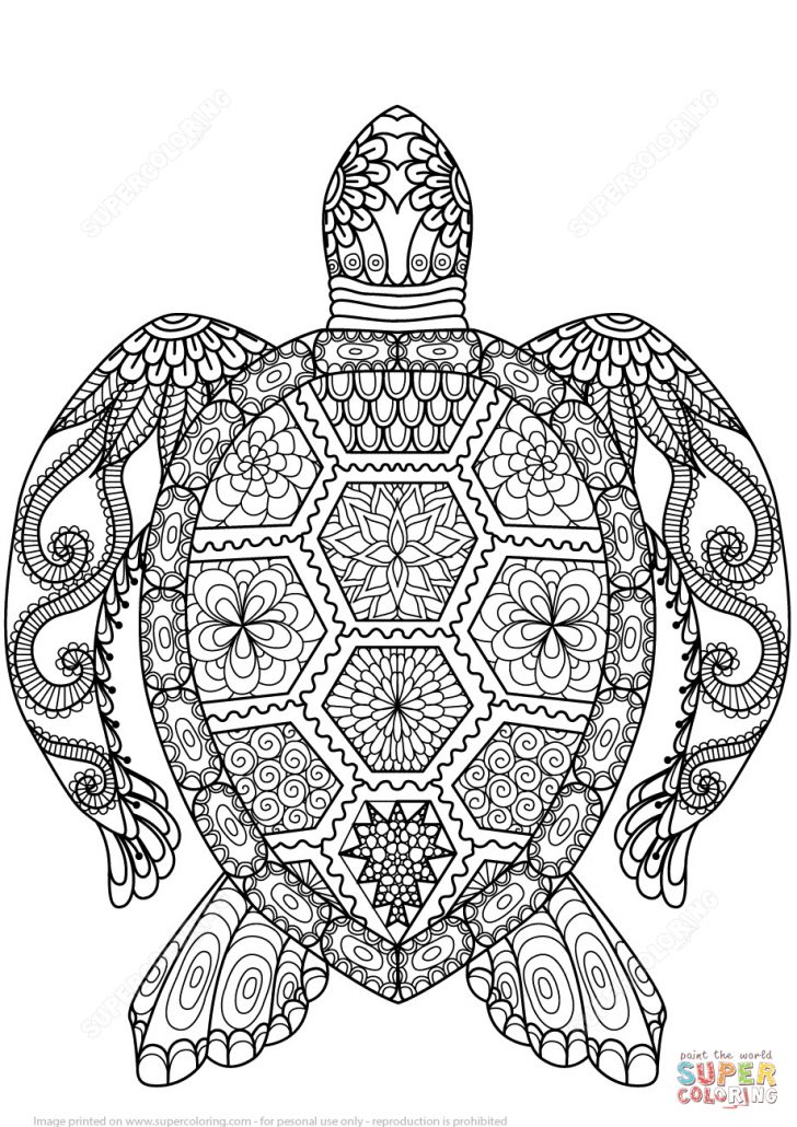 Turtle Coloring Pages Turtle Zentangle Coloring Page Free Printable Coloring Pages Turtle Coloring Pages Turtle Zentangle Coloring Page Free Printable Coloring Pages