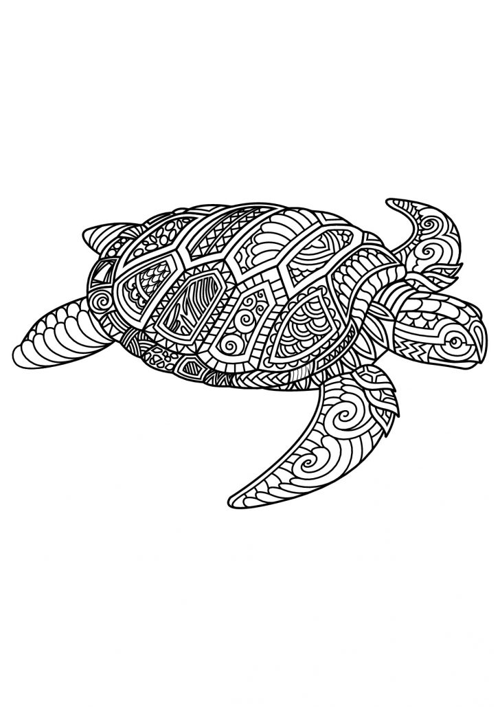 Turtle Coloring Pages Turtles Coloring Pages For Adults Turtle Coloring Pages Turtles Coloring Pages For Adults