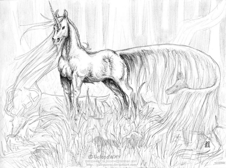 Unicorn Coloring Pages For Adults Best Of Unicorn Coloring Pages Adult Coloring Pages Free Coloring Book Unicorn Coloring Pages For Adults Best Of Unicorn Coloring Pages Adult Coloring Pages Free Coloring Book